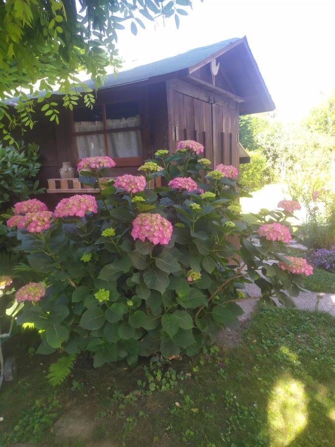 Al Casale B&B Casalserugo Екстериор снимка