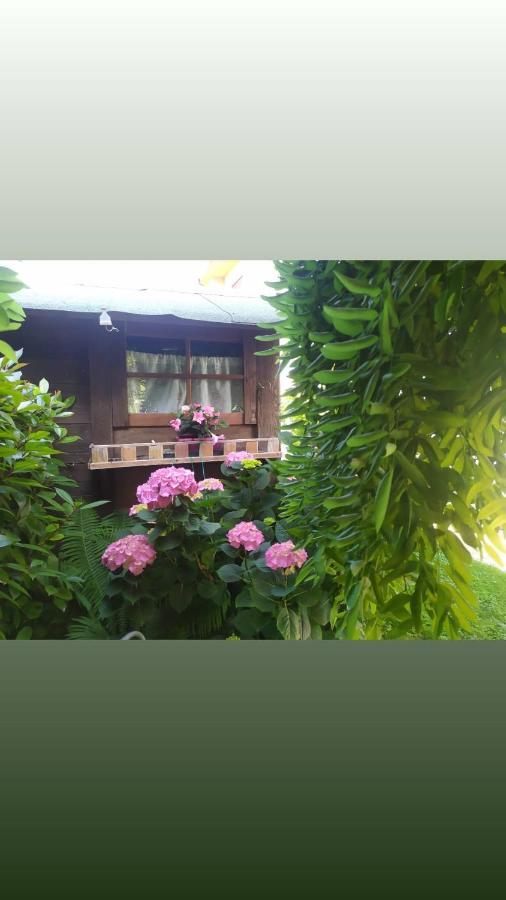 Al Casale B&B Casalserugo Екстериор снимка