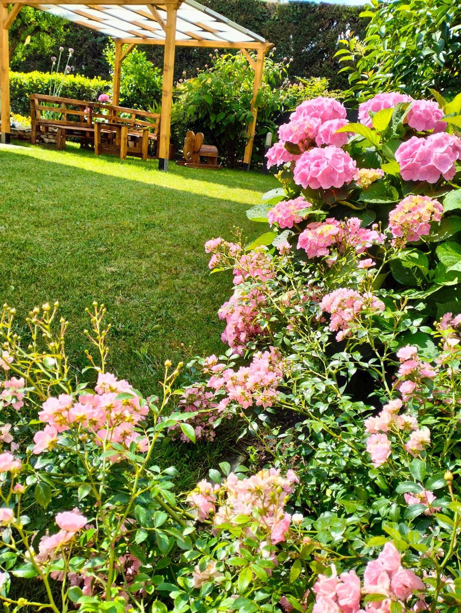 Al Casale B&B Casalserugo Екстериор снимка